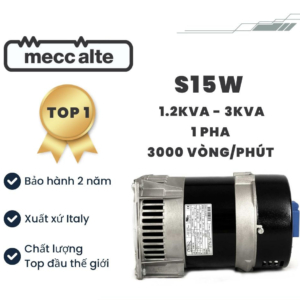 củ phát điện 1kw