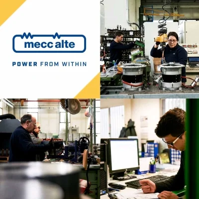 Mecc Alte nam châm vĩnh cửu