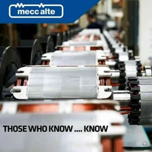 củ phát điện Mecc Alte Ý