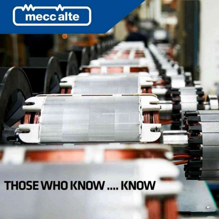 Mecc Alte Alternator heater for ship emergency generator