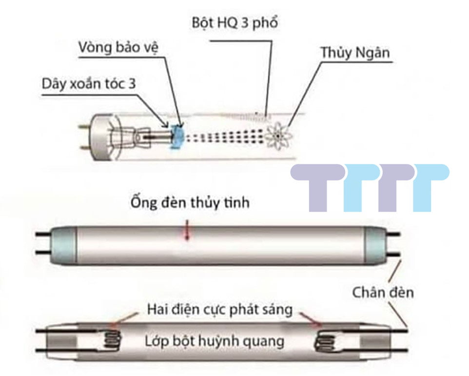 Structure of fluorescent lamps and basic information about fluorescent lamps Cấu tạo đèn huỳnh quang