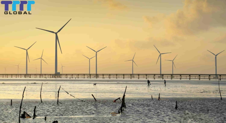 Điện gió Bạc Liêu - khả năng phát triển và lợi ích Điện gió Bạc Liêu