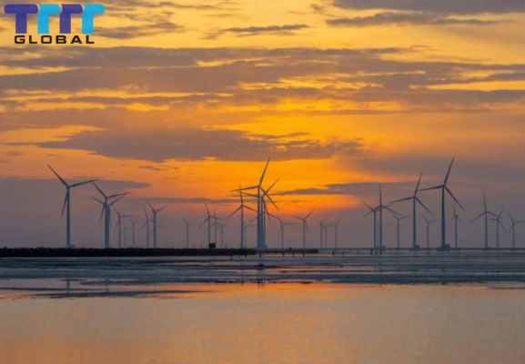 Bac Lieu wind power - Development potential and benefits Điện gió Bạc Liêu