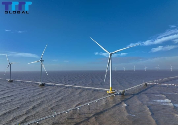 Potential and opportunities for Tra Vinh wind power điện gió Trà Vinh