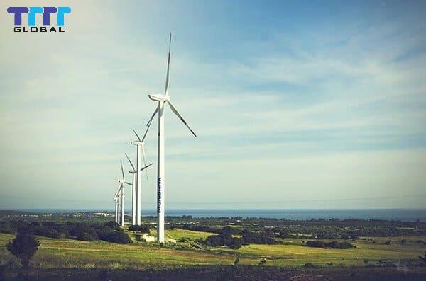 Binh Thuan Wind Power: Development Dynamics and Attractive Potential Binh Thuan wind power: A driving force for economic growth