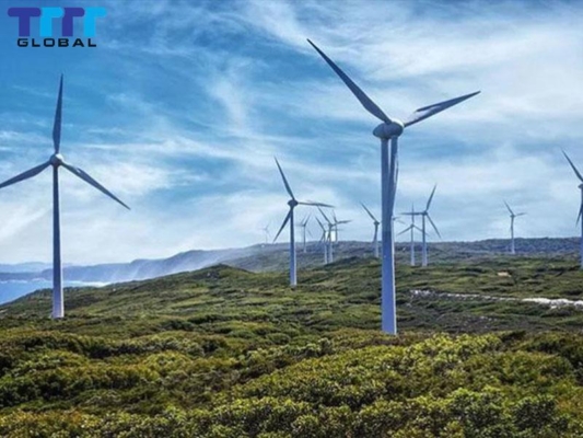 Binh Thuan Wind Power: Development Dynamics and Attractive Potential Employment opportunities and local economic development from Binh Thuan wind power