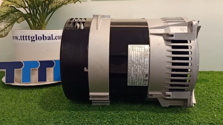 Giải pháp nguồn điện dự phòng nhỏ gọn với củ phát điện 3kW củ phát điện 3kW 2